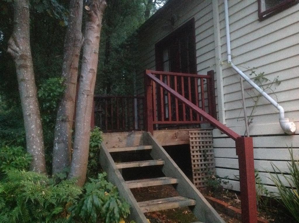 Bed and Breakfast Belgrave Hideaway Exterior foto